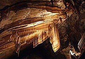 Gunns Plains Cave - Accommodation Bookings 0