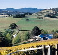 Freycinet Vineyards Pty Ltd - Accommodation Bookings