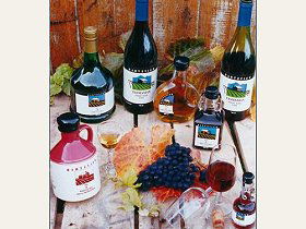 Hartzview Vineyard - Accommodation Bookings 0