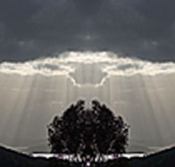 aart. Gallery of Fine Art - Accommodation Bookings