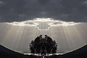 Aart. Gallery Of Fine Art - Accommodation Bookings 0