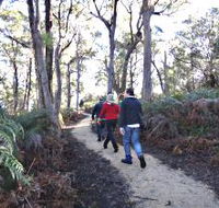 Bridport Walking Track - Accommodation Bookings