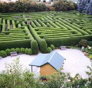 Westbury Maze and Tea Room - Accommodation Bookings