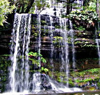 Mt Field National Park - Accommodation Bookings