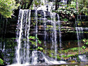 Mt Field National Park - Accommodation Bookings 0