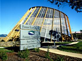 Tonganah TAS Accommodation Bookings