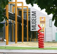 Queen Victoria Museum and Art Gallery - Accommodation Bookings