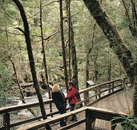 Franklin River Nature Trail - Accommodation Bookings