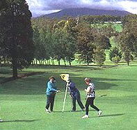 Deloraine Golf Course - Accommodation Bookings