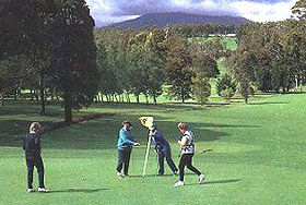 Deloraine Golf Course - Accommodation Bookings 0