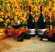 Craigow Vineyard - Accommodation Bookings