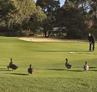 Royal Hobart Golf Club - Accommodation Bookings