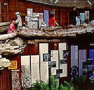 West Coast Visitor Information and Booking Centre - Accommodation Bookings