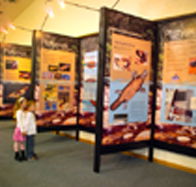 Platypus Experience - Accommodation Bookings