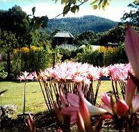 Blueberry Cottage Open Gardens - Accommodation Bookings