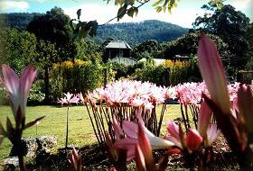 Blueberry Cottage Open Gardens - Accommodation Bookings 0