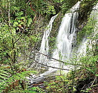 Hogarth Falls - Accommodation Bookings