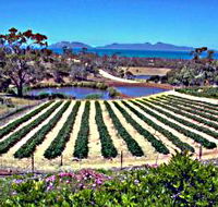 Kate's Berry Farm - Accommodation Bookings