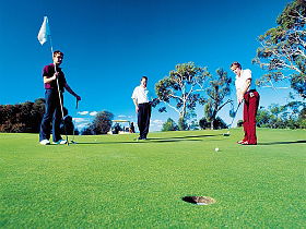 Scottsdale Golf Club - Accommodation Bookings 0