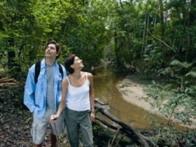 Mooloolah River National Park, Jowarra Section - Accommodation Bookings 0
