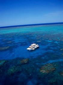 Norman Reef Dive Site - Accommodation Bookings 0