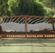 Tasmanian Bushland Garden - Accommodation Bookings