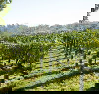 Surveyor's Hill Vineyards - Accommodation Bookings