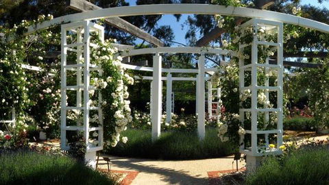 Old Parliament House Gardens - Accommodation Bookings 1
