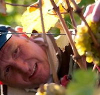 Puddleduck Vineyard - Accommodation Bookings