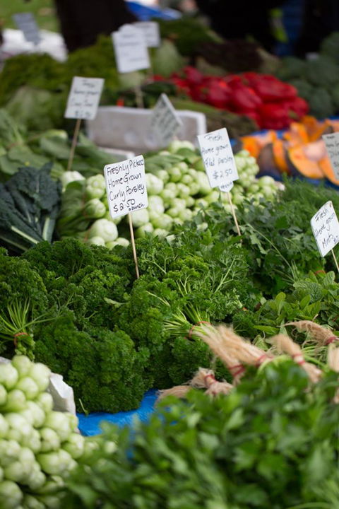Salamanca Market - Accommodation Bookings 5