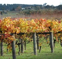 Apsley Gorge Vineyard - Accommodation Bookings