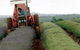Bridestowe Lavender Farm - thumb 0