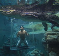 Crocosaurus Cove - Accommodation Bookings