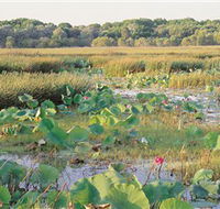 Fogg Dam Conservation Reserve - Accommodation Bookings