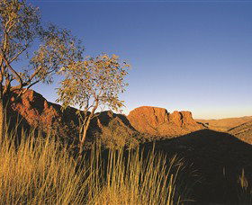  Accommodation Bookings
