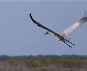 Gayngaru Wetlands Interpretive Walk - Accommodation Bookings 0