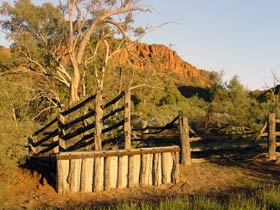 Illamurta Springs Conservation Reserve - Accommodation Bookings 0