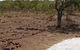 Wurrwurrwuy Garanhan Macassan Beach Interpretive Walk - thumb 0