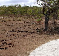 Wurrwurrwuy Garanhan Macassan Beach Interpretive Walk - Accommodation Bookings