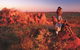 Kunjarra/The Pebbles - thumb 0