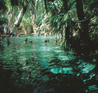 Mataranka Thermal Pool - Accommodation Bookings