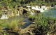 Flora River Nature Park - thumb 0