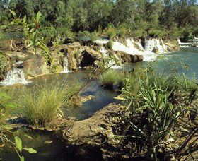 Flora River Nature Park - Accommodation Bookings 0