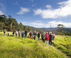 Tallai QLD Accommodation Bookings