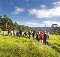 Apple Tree Park - Accommodation Bookings