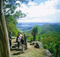 Gold Coast Hinterland Great Walk - Accommodation Bookings