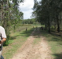 Coombabah Lakes Conservation Area - Accommodation Bookings