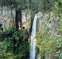 Gondwana Rainforests of Australia - Accommodation Bookings