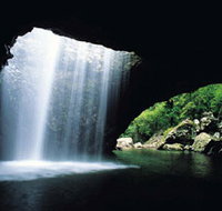 Natural Bridge Springbrook National Park - Accommodation Bookings