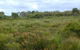 Pine Ridge Conservation Park - thumb 0